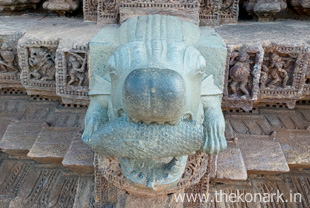 Center view - crocodile water outlet Center view - crocodile water outlet