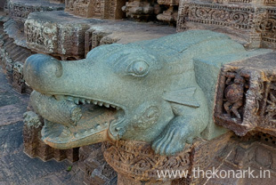 Left view - crocodile water outlet Left view - crocodile water outlet