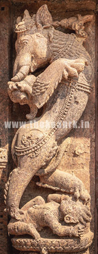 Gaja Vidala Gaja Vidala