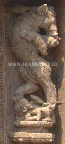 Gaja Vidala Gaja Vidala