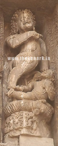 Nara Vidala Nara Vidala