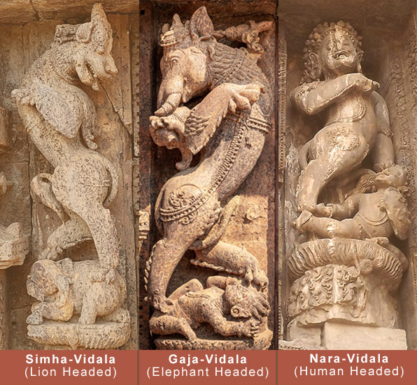 Different types of Vidalas in Konark Different types of Vidalas in Konark
