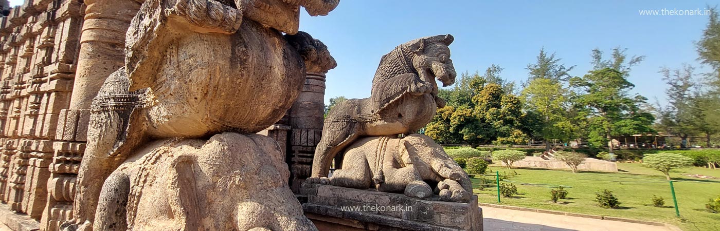 Gajasimha at Konark Sun Temple